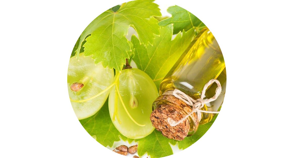 Extracto de uva - composición Ostelife Premium Plus